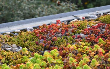 the cost of Wittering green roof installation