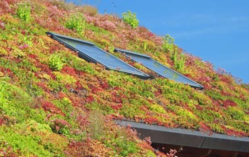 Wittering living roof systems