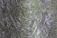 Wittering fibreglass roof work